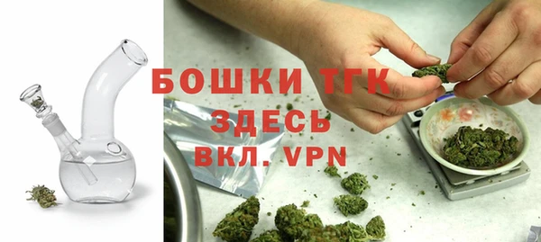 крисы Арсеньев