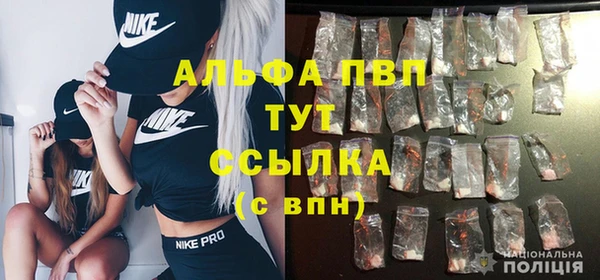 крисы Арсеньев