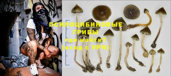 крисы Арсеньев
