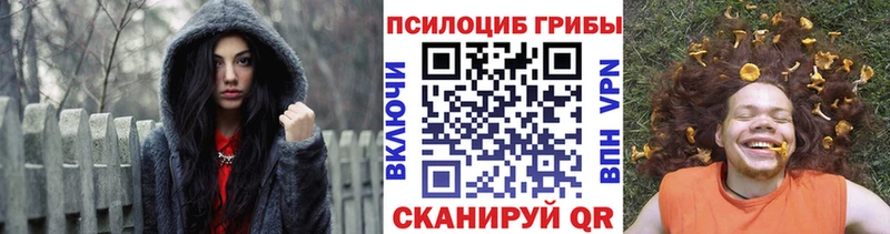 Галлюциногенные грибы Psilocybe  магазин продажи   Гагарин 
